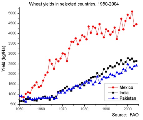 Wheat Yields