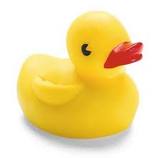 rubber ducky
