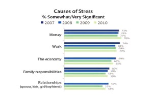causes of stress
