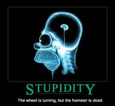 stupidity