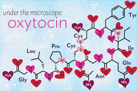 Oxytocin