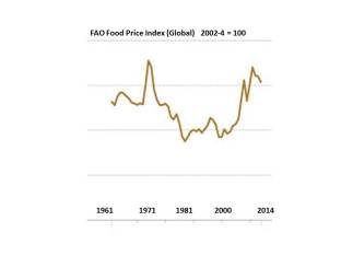 FAO Food Price