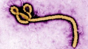 ebola