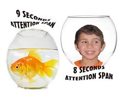 attention span
